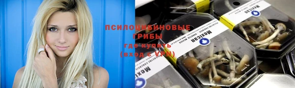 трава Алексеевка